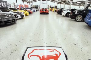 World's Largest Viper Collection video