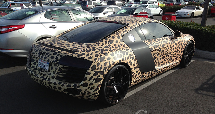 Leopard print Audi R8