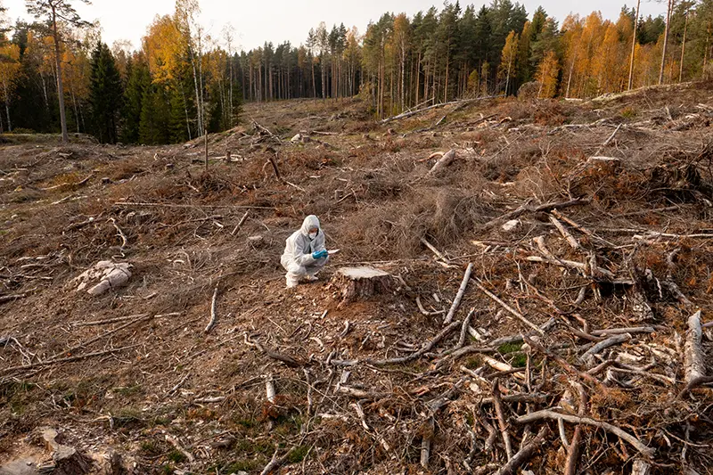 scientists testing for loss of biodiversity at deforestation site