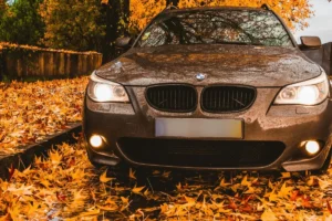 Falling leaves can pose a risk to cars