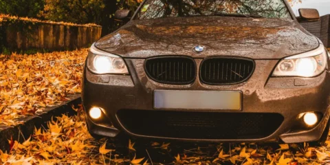 Falling leaves can pose a risk to cars